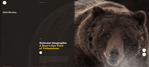 WebDesign 2020 : contanu partagé